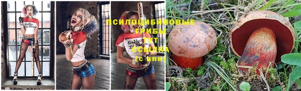 каннабис Тольятти