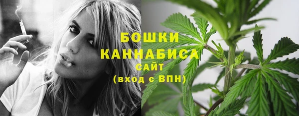 MESCALINE Коряжма