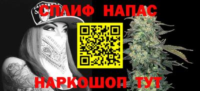 гидра Краснокаменск