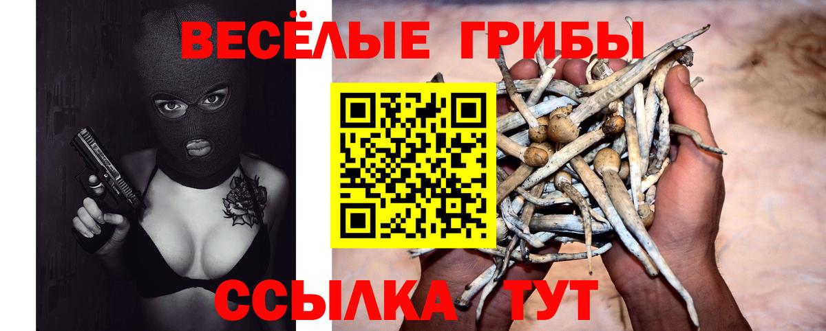 Псилоцибиновые грибы GOLDEN TEACHER  Вход с VPN  купить наркотик  Краснознаменск 